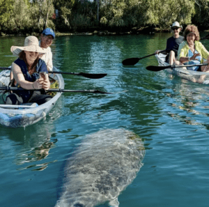 Adult guide to Orlando