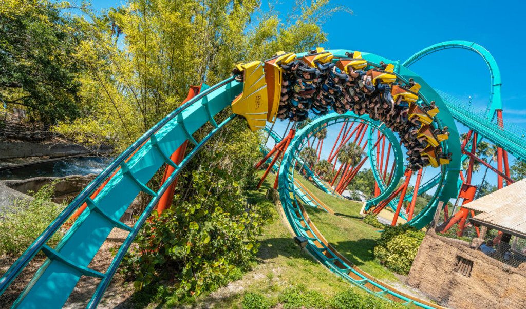 Busch Gardens Things to Do in Tampa Download guide