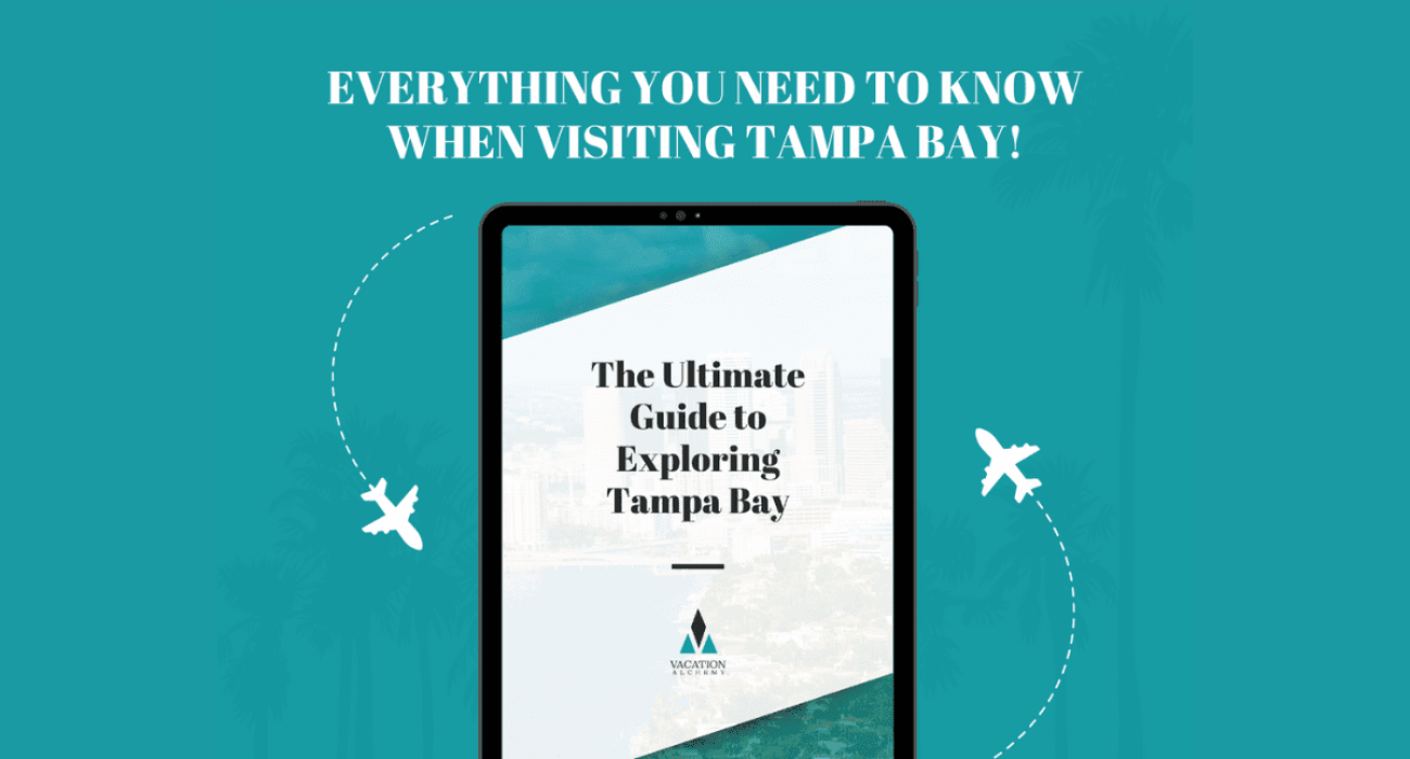 Tampa Bay Guide