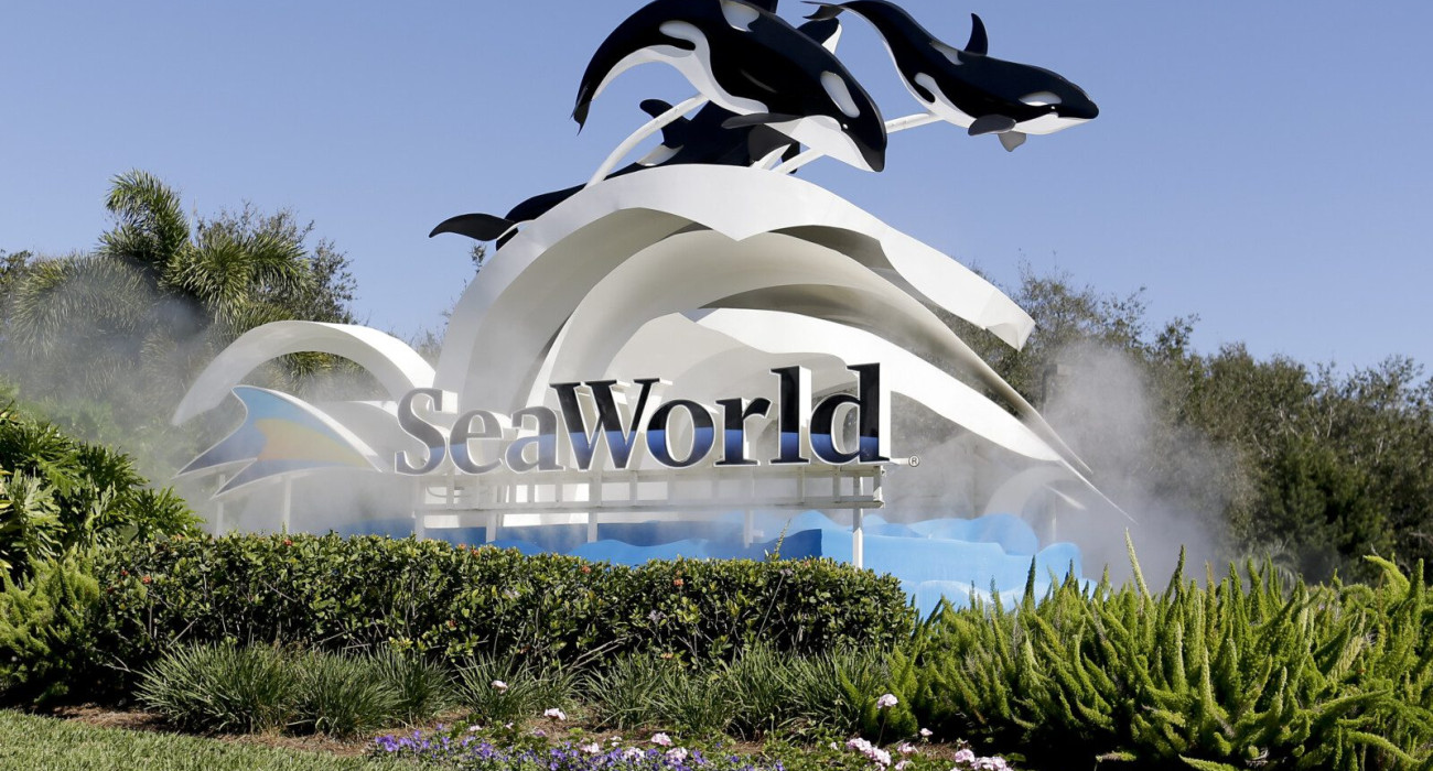 Seaworld Florida Orlando